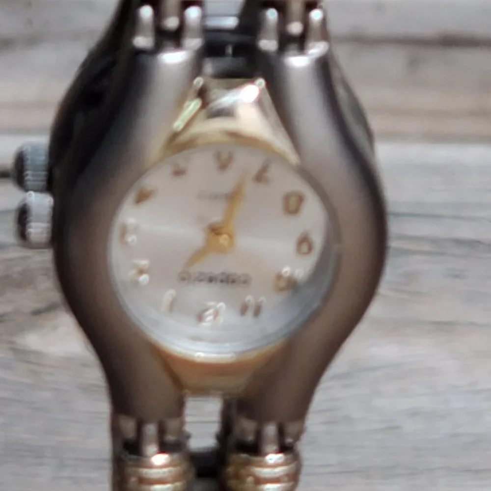 Capezio Ladies Watch-Brushed Stainless Steel with Gold Accented Links